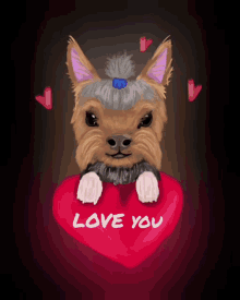 love valentines day valentine yorkshire terrier yorkie