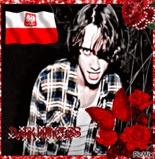 a man in a plaid shirt is surrounded by red roses and a flag with the word darkness written on the bottom