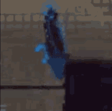 Rain World Blue Lizard GIF