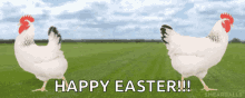 Easter Bunny Happy Easter GIF