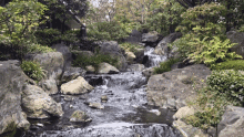 Cascada Water GIF - Cascada Water Woods GIFs