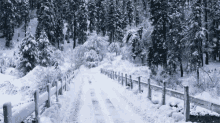 Driving In Snow No Snow GIF