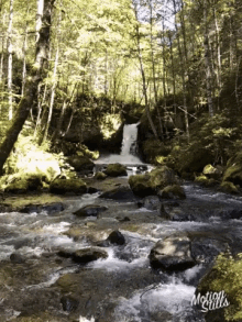 Nature Pnw GIF - Nature Pnw Waterfall GIFs