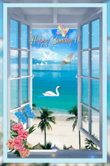 sunday happy enjoy your day