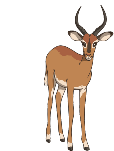 Antelope Impala Sticker - Antelope Impala Black Faced Impala Stickers