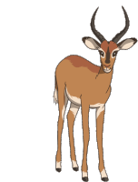 Antelope Impala Sticker