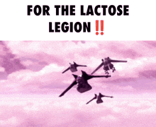 a poster that says for the lactose legion !!