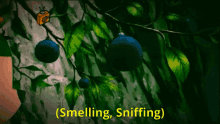 Scent Deerling GIF - Scent Deerling Pokemon GIFs