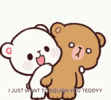 Teddy Squish Teddy Love Squish GIF - Teddy Squish Teddy Love Squish GIFs