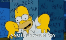Another Calm Day Homer GIF - Another Calm Day Homer Panic GIFs