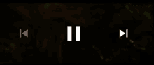 a blurry picture of a person standing next to a tree in the woods .