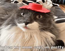 a gray and white cat wearing a red cowboy hat with the caption when my mom says im pretty