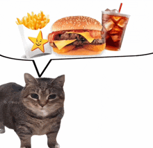 a cat is standing in front of a hamburger and french fries