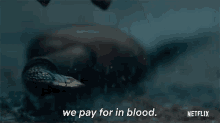 We Pay For In Blood Barbarians GIF - We Pay For In Blood Barbarians We Will Fight GIFs