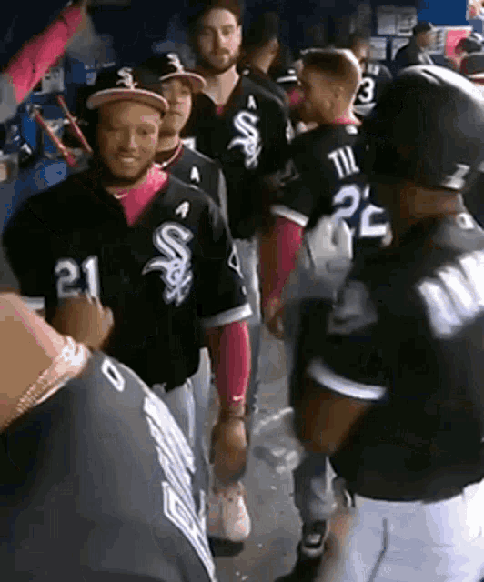 White Sox Tim Anderson GIF - White Sox Tim Anderson Handshake - Discover &  Share GIFs