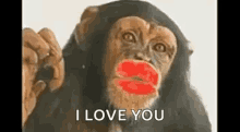 Kiss Monkey GIF - Kiss Monkey GIFs