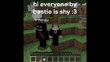 two minecraft characters are standing next to each other in a grassy area .