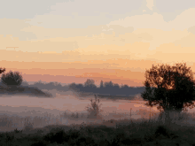 Misty Morning GIF - Misty Morning Sunrise GIFs