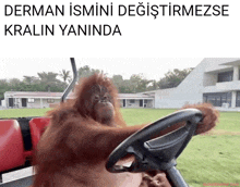 a picture of an orangutan driving a golf cart with the words derman ismini degistirmezse kralin yaninda