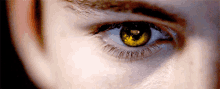 golden eyes vampire