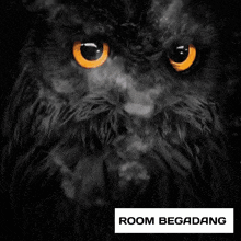 a poster with an owl and the words room begadang