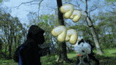Fuwamallow Kamen Rider Gavv GIF
