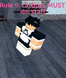 a person in a maid outfit is standing in front of a rule 9 sign