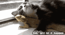 Cat Lizard GIF - Cat Lizard Shh GIFs