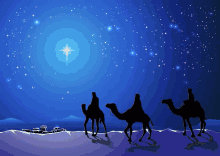 dia dos reis kings day night star camel