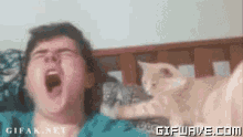 Tired Cat Owner GIF - Yawn Cat Cute GIFs