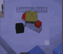 Tommyinnit Tommy Origins GIF - Tommyinnit Tommy Origins Whaleburmp4 GIFs