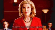 The Good Wife In Your Opinion GIF - The Good Wife In Your Opinion GIFs