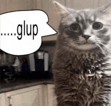 a cat with a speech bubble that says glup is standing in a kitchen .