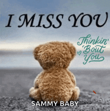 a teddy bear sits on the beach with the words " i miss you "