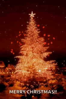 Fireworks Christmas Tree GIF - Fireworks Christmas Tree Star GIFs