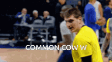 Commn Cow W Common Cow W GIF - Commn Cow W Common Cow W GIFs