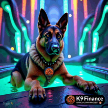 a painting of a german shepherd with a k9 finance logo on the bottom