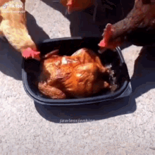Chicken Wings Canabalism GIF - Chicken Wings Canabalism Slay GIFs