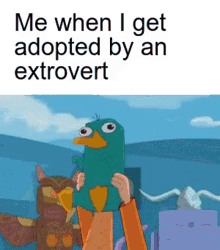 spin perry the platypus me when i get adopted by an extrovert