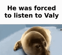Valy GIF - Valy GIFs