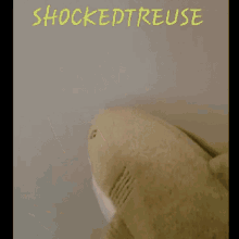 Shark Sharktreuse GIF - Shark Sharktreuse Shockedtreuse GIFs