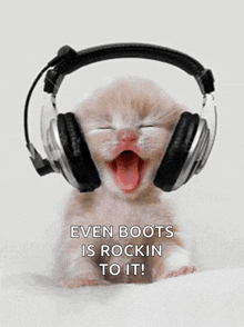 a kitten wearing headphones with a caption that says even boots is rockin to it