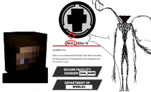 a screenshot of a video game that says nullsite 0