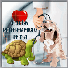 a turtle and a dog are being examined by a doctor with a stethoscope