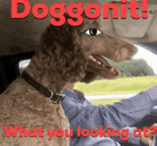 Doggonit Dog GIF - Doggonit Dog Dogs World GIFs