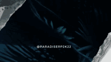 a logo for paradise island rp is shown on a dark background