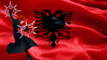 a red flag with a black eagle in the middle