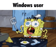 windows windows user linux arch linux