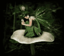 Flower Crouch GIF - Flower Crouch Thumbelina GIFs