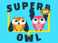 Superb Owl Football GIF - Superb Owl Football Big Game GIFs